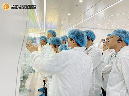 會員服務(wù) 直擊世界一流的透明工廠，簡直大開眼界